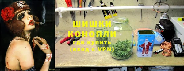 PSILOCYBIN Белоозёрский