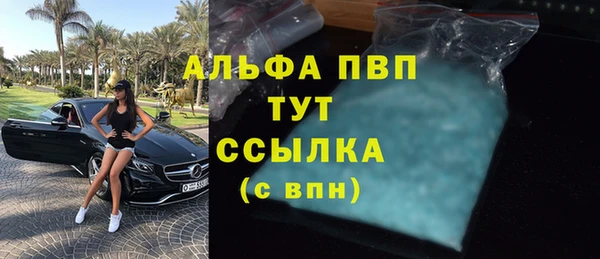 стаф Беломорск