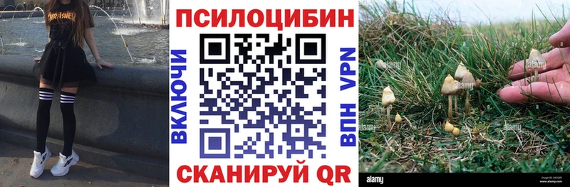 Галлюциногенные грибы ЛСД  Онега 