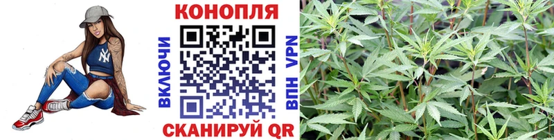 Каннабис VHQ  купить   Онега 